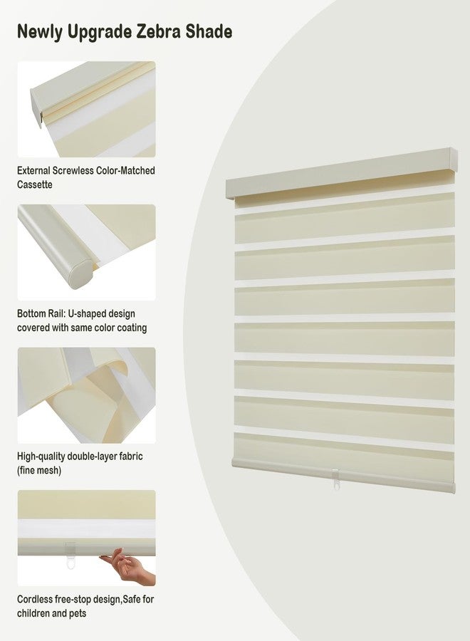 Dephora Cordless Zebra Blinds for Windows,Free-Stop Roller Zebra Shades,Light Filtering Blinds for Indoor windows with Upgraded Cassette,Pull Down Privacy Window Shades for Home (35" W x 72" H, Ivory) - Image 3